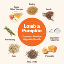 Soft Dog Biscuits - Softies - Lamb & Pumpkin