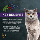 猫干粮 - Market Fresh - 无谷鸭肉配方