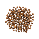 Dry Cat Food - CARNIVORE - Grain Free Chicken, Turkey + Duck Recipe