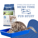 Premium Crystal Cat Litter - Unscented