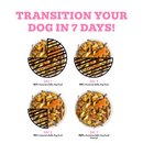 Canned Dog Food - Awesome Belly - Easy Digestion - Beef, White Rice & Pumpkin Recipe with Turmeric & Ginger