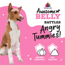 Canned Dog Food - Awesome Belly - Easy Digestion - Beef, White Rice & Pumpkin Recipe with Turmeric & Ginger