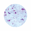 Premium Crystal Cat Litter - Lavender