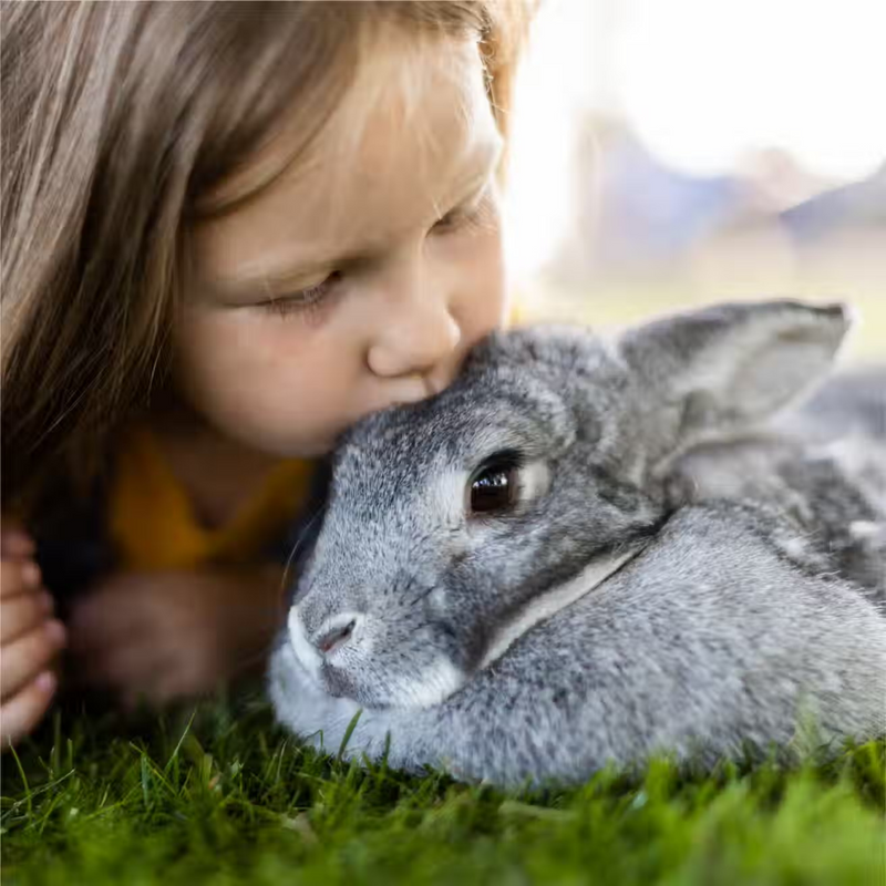 Hand-Selected Timothy Grass