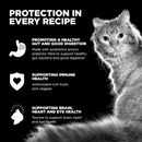 Dry Cat Food - SKIN + COAT CARE - Chicken Recipe with Grains