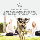 Canned Dog Food - Beef Feast