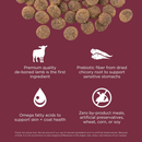 Dry Dog Food - SENSITIVITIES - Limited Ingredient - Grain Free Lamb Recipe