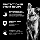 Dry Dog Food - SENSITIVITIES - Limited Ingredient - Grain Free Lamb Recipe