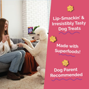 Crunchy Baked Dog Treat - Pumpkin & Apple Flavor