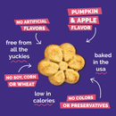 Crunchy Baked Dog Treat - Pumpkin & Apple Flavor