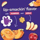 Crunchy Baked Dog Treat - Pumpkin & Apple Flavor