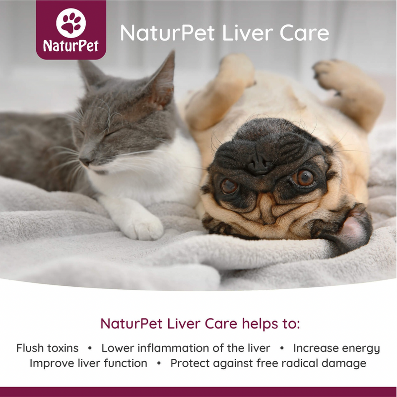 Symptom Relief - Liver Care for Dogs & Cats