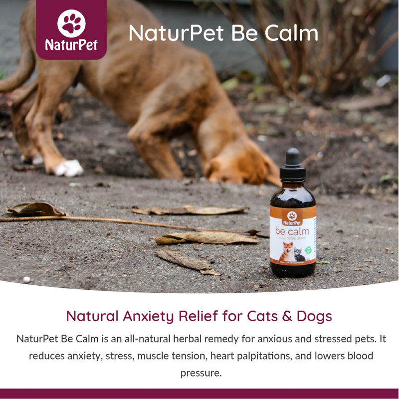 Soyez calme - Soulagement naturel de l'anxiété pour chiens et chats (officiellement à la maison seule) - 100 ml