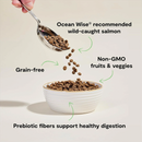 Nourriture chat sec, saumon sauvage