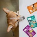 Wet Dog Food - Dogs in the Kitchen - Pooch Pouch Party! - Variety Pack