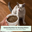Dry Cat Food - Grain Free Turkey & Chicken Recipe - Kitten