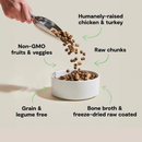 Dry Cat Food - RawMix - Open Prairie Recipe - Grain & Legume Free