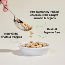 Nourriture pour chats lyophilisée - Morsels de poulet et de saumon