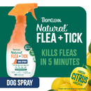Natural Flea & Tick Dog + Home Spray - 473 ml
