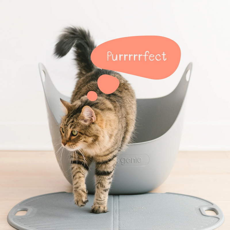 360 Vision Open Cat Litter Box with Scoop