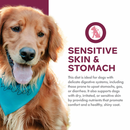 Dry Dog Food - Nutritionals - Sensitive Skin & Stomach - Salmon & Whole Oats Recipe