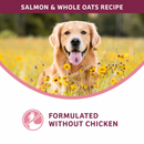 Dry Dog Food - Nutritionals - Sensitive Skin & Stomach - Salmon & Whole Oats Recipe