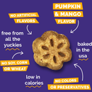 Soft & Chewy Dog Treat - Skinny Minis - Pumpkin & Mango Flavor
