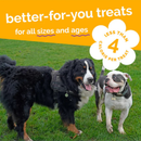 Soft & Chewy Dog Treat - Skinny Minis - Pumpkin & Mango Flavor
