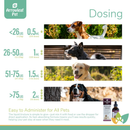 On Going Care - Immuno Boost for Dogs & Cats