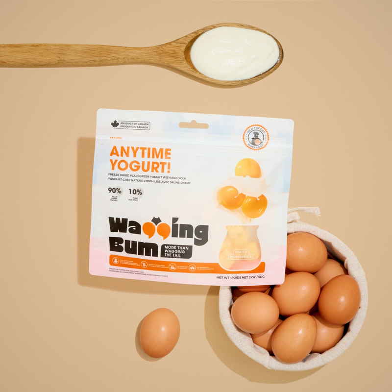 ANYTIME YOGURT! Freeze Dried Greek Yogurt with Egg Yolk