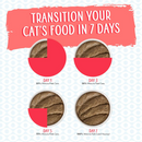 Canned Cat Food - Paté - Jolly Good Fares - Chicken & Salmon Dinner in a Hydrating Purée
