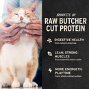 Traitement de chat séché gelé - Poitrine de poulet - 1 oz