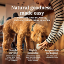 Canned Dog Food - Chicken Feast