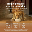 Canned Dog Food - Chicken Feast