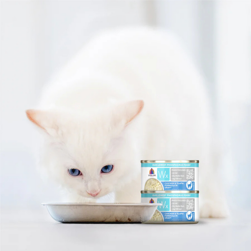 Nourriture pour chats en conserve - Formule WX Phos Focus - Formule de poulet et de tilapia en sauce - 3 oz