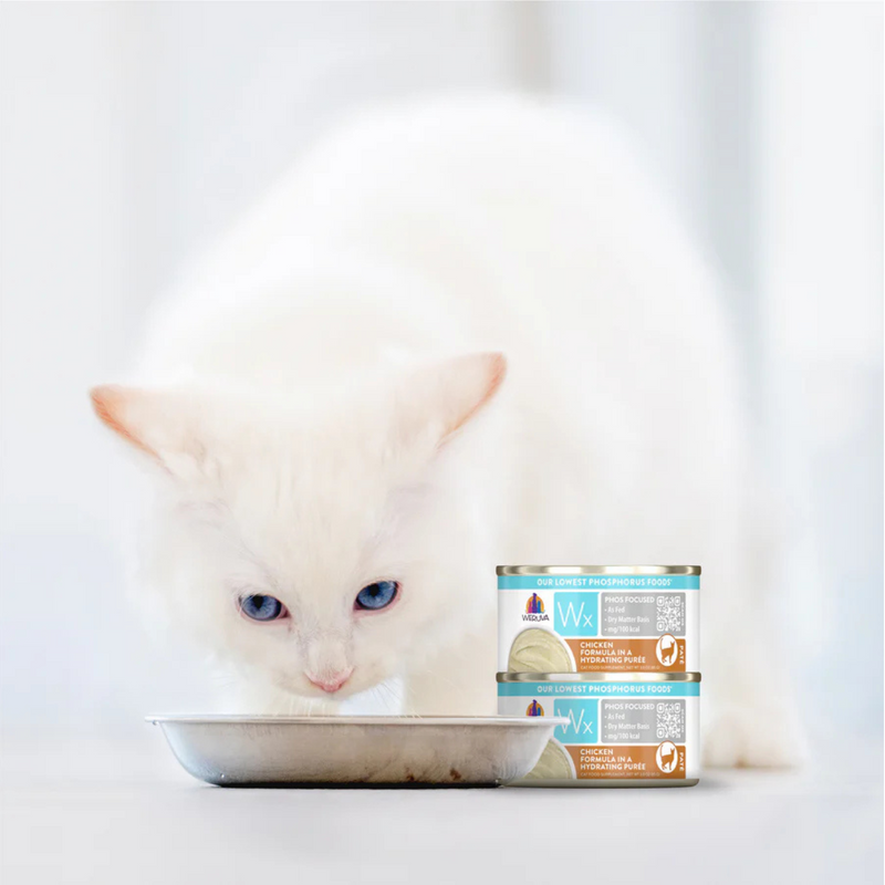 Nourriture pour chats en conserve - Formule de poulet WX Phos dans une purée hydratante - 3 oz
