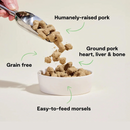 Nourriture pour chiens crus lyophilisé - pronto - recette de porc