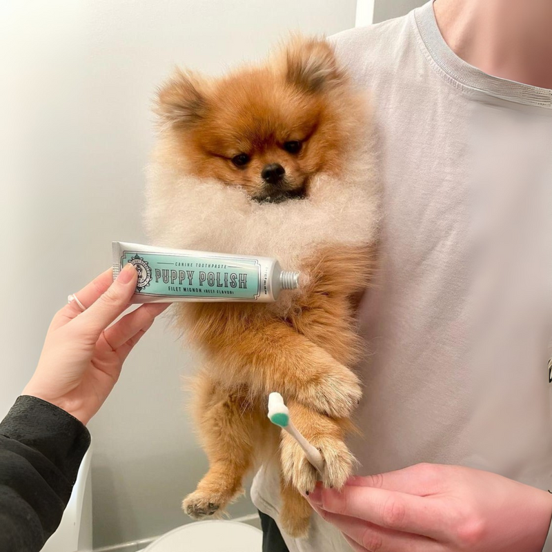 犬用牙膏 - 3.5盎司