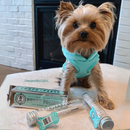 犬用牙膏 - 3.5盎司