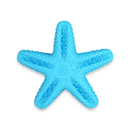 犬用洁齿玩具 - 海星