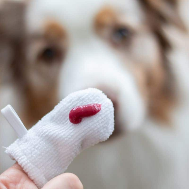 Microfiber Fingerbrush