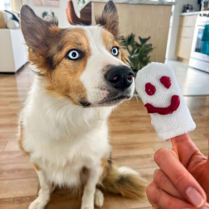 Microfiber Fingerbrush