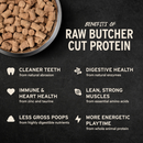 Freeze Dried Dog Food - Soft Nibs - Beef & Salmon