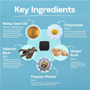 Dog Supplement - Calming Soft Chews