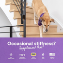 Supplément de chien - Hip et articulation - 90 ct mâtes souples