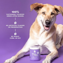 Supplément de chien - Hip et articulation - 90 ct mâtes souples