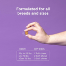 Supplément de chien - Hip et articulation - 90 ct mâtes souples
