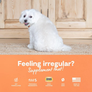 Dog Supplement - Probiotic Soft Chews