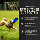 Freeze Dried Dog Treat - Beef Bites