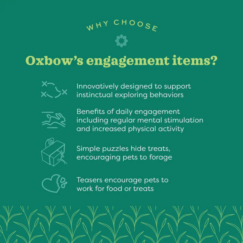 Enriched Life - 竹制球池